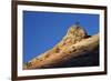 Lone Ponderosa Pine Atop a Sandstone Formation at First Light-James Hager-Framed Photographic Print