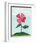 Lone Poppy-Cody Alice Moore-Framed Art Print