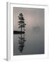 Lone Scots Pine, in Mist on Edge of Lake, Strathspey, Highland, Scotland, UK-Pete Cairns-Framed Photographic Print