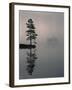 Lone Scots Pine, in Mist on Edge of Lake, Strathspey, Highland, Scotland, UK-Pete Cairns-Framed Photographic Print