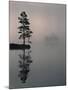 Lone Scots Pine, in Mist on Edge of Lake, Strathspey, Highland, Scotland, UK-Pete Cairns-Mounted Photographic Print