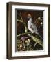 Lone Sentinel-Trevor V. Swanson-Framed Giclee Print