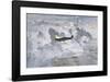 Lone Spitfire-Gerald Coulson-Framed Premium Giclee Print