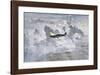 Lone Spitfire-Gerald Coulson-Framed Premium Giclee Print