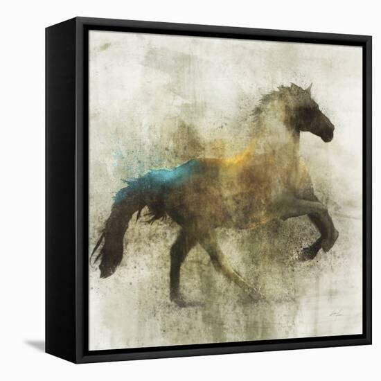 Lone Star 3-Ken Roko-Framed Stretched Canvas