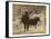 Lone Star Cows I-Jarman Fagalde-Framed Stretched Canvas