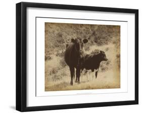 Lone Star Cows I-Jarman Fagalde-Framed Art Print