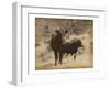 Lone Star Cows I-Jarman Fagalde-Framed Art Print