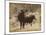 Lone Star Cows I-Jarman Fagalde-Mounted Art Print