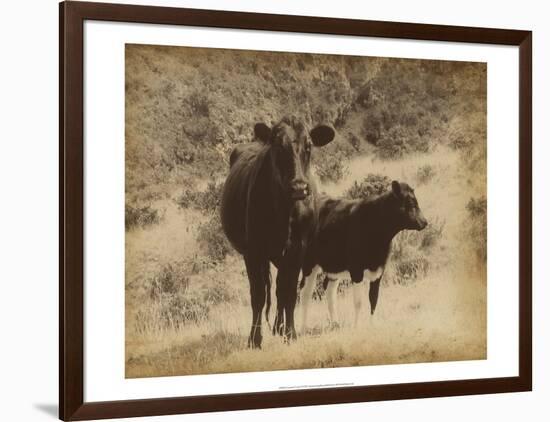 Lone Star Cows I-Jarman Fagalde-Framed Art Print