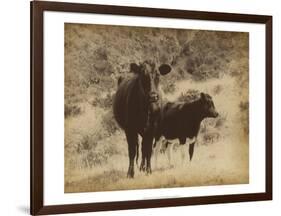 Lone Star Cows I-Jarman Fagalde-Framed Art Print