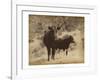 Lone Star Cows I-Jarman Fagalde-Framed Art Print