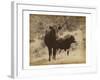 Lone Star Cows I-Jarman Fagalde-Framed Art Print