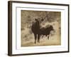 Lone Star Cows I-Jarman Fagalde-Framed Art Print