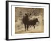 Lone Star Cows I-Jarman Fagalde-Framed Art Print