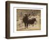 Lone Star Cows I-Jarman Fagalde-Framed Art Print