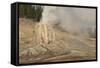 Lone Star Geyser Erupts and Creates Rainbow, Yellowstone National Park, Wyoming, Usa-Eleanor Scriven-Framed Stretched Canvas