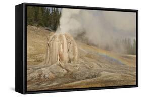Lone Star Geyser Erupts and Creates Rainbow, Yellowstone National Park, Wyoming, Usa-Eleanor Scriven-Framed Stretched Canvas
