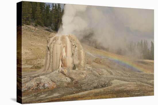 Lone Star Geyser Erupts and Creates Rainbow, Yellowstone National Park, Wyoming, Usa-Eleanor Scriven-Stretched Canvas