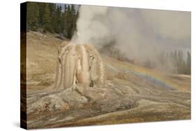 Lone Star Geyser Erupts and Creates Rainbow, Yellowstone National Park, Wyoming, Usa-Eleanor Scriven-Stretched Canvas