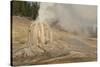 Lone Star Geyser Erupts and Creates Rainbow, Yellowstone National Park, Wyoming, Usa-Eleanor Scriven-Stretched Canvas