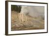 Lone Star Geyser Erupts and Creates Rainbow, Yellowstone National Park, Wyoming, Usa-Eleanor Scriven-Framed Photographic Print