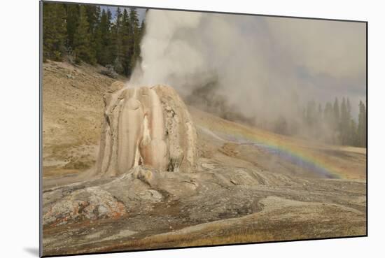 Lone Star Geyser Erupts and Creates Rainbow, Yellowstone National Park, Wyoming, Usa-Eleanor Scriven-Mounted Photographic Print