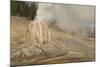 Lone Star Geyser Erupts and Creates Rainbow, Yellowstone National Park, Wyoming, Usa-Eleanor Scriven-Mounted Photographic Print