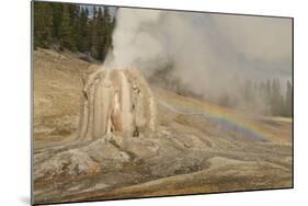 Lone Star Geyser Erupts and Creates Rainbow, Yellowstone National Park, Wyoming, Usa-Eleanor Scriven-Mounted Photographic Print