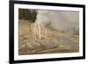 Lone Star Geyser Erupts and Creates Rainbow, Yellowstone National Park, Wyoming, Usa-Eleanor Scriven-Framed Photographic Print