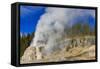 Lone Star Geyser Erupts and Creates Rainbow-Eleanor-Framed Stretched Canvas