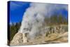 Lone Star Geyser Erupts and Creates Rainbow-Eleanor-Stretched Canvas