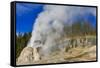 Lone Star Geyser Erupts and Creates Rainbow-Eleanor-Framed Stretched Canvas