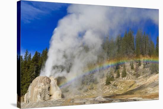 Lone Star Geyser Erupts and Creates Rainbow-Eleanor-Stretched Canvas