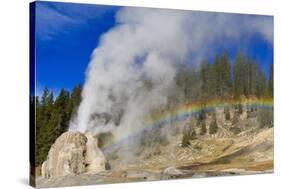 Lone Star Geyser Erupts and Creates Rainbow-Eleanor-Stretched Canvas