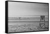 Lone Surfer Newport Rhode Island B/W-null-Framed Stretched Canvas