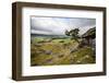 Lone Tree Above Crummack Dale, Yorkshire, England, United Kingdom, Europe-Mark Sunderland-Framed Photographic Print