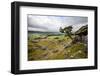 Lone Tree Above Crummack Dale, Yorkshire, England, United Kingdom, Europe-Mark Sunderland-Framed Photographic Print