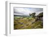 Lone Tree Above Crummack Dale, Yorkshire, England, United Kingdom, Europe-Mark Sunderland-Framed Photographic Print