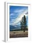 Lone Tree and Cloudscape, Alpine County, Sierra Nevada, California-Vincent James-Framed Photographic Print