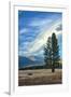 Lone Tree and Cloudscape, Alpine County, Sierra Nevada, California-Vincent James-Framed Photographic Print