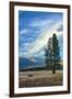 Lone Tree and Cloudscape, Alpine County, Sierra Nevada, California-Vincent James-Framed Photographic Print