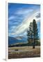 Lone Tree and Cloudscape, Alpine County, Sierra Nevada, California-Vincent James-Framed Photographic Print