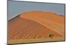 Lone tree and tall sand dune, Sossusvlei Namibia-Darrell Gulin-Mounted Photographic Print