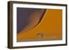 Lone tree and tall sand dune, Sossusvlei, Namibia-Darrell Gulin-Framed Photographic Print