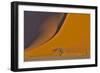 Lone tree and tall sand dune, Sossusvlei, Namibia-Darrell Gulin-Framed Photographic Print