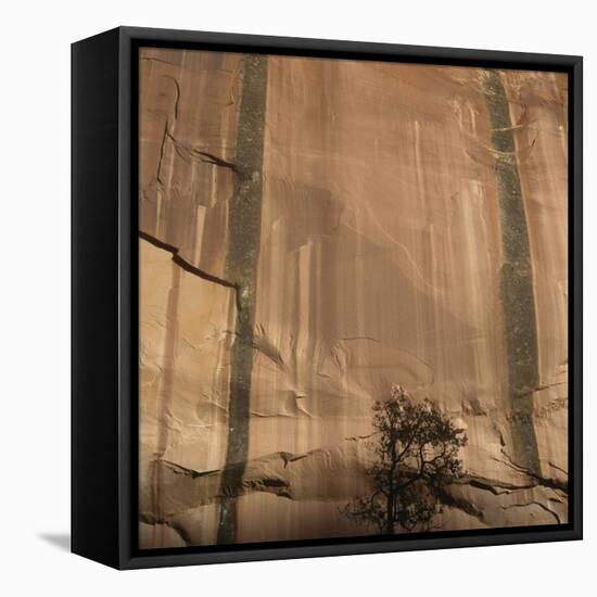 Lone Tree Beneath a Sheer Cliff Face-Micha Pawlitzki-Framed Stretched Canvas
