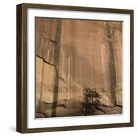 Lone Tree Beneath a Sheer Cliff Face-Micha Pawlitzki-Framed Photographic Print