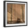 Lone Tree Beneath a Sheer Cliff Face-Micha Pawlitzki-Framed Photographic Print