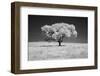 Lone tree in black and white Infrared-Michael Scheufler-Framed Photographic Print